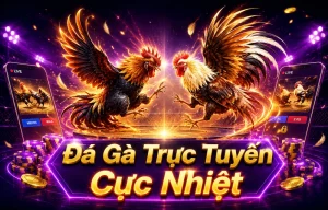 Giao diện sảnh Đá Gà DAGA